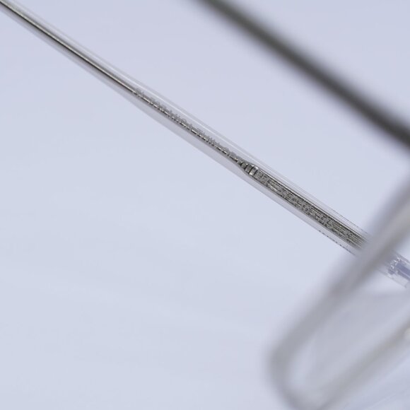 🕶️ New Saint Laurent SL737 MICA THIN OPT 004 Eyeglasses-Transparent Beige Frame - Picture 7 of 11